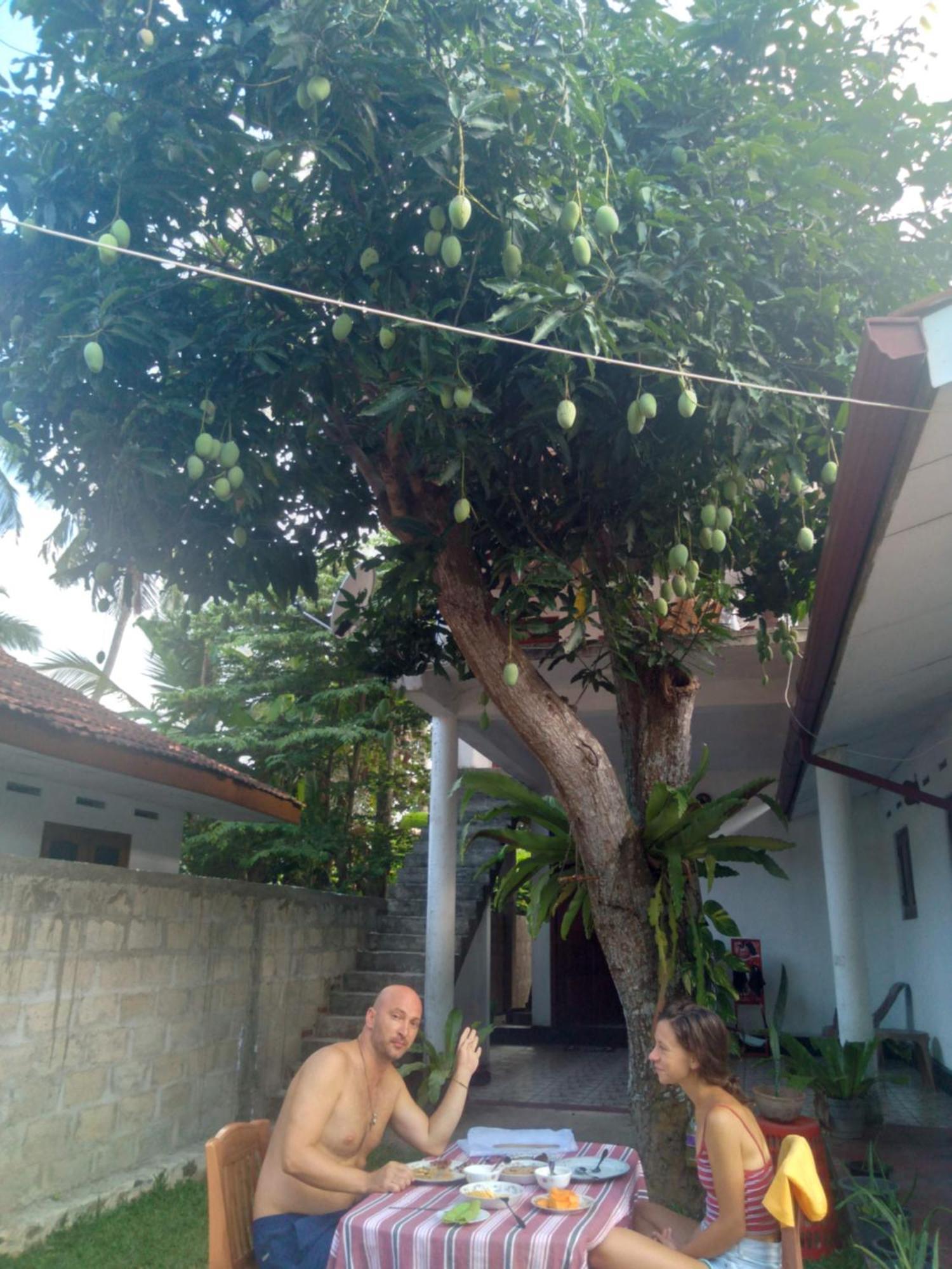 Sanithu Homestay And Villa Galle Exteriör bild